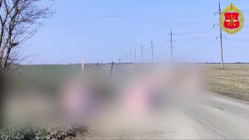 Расчёт ПВО группировки войск «Днепр» точным попаданием дрона-перехватчика «Ёлка» уничтожил ударный БПЛА самолётного типа в Херсонской области