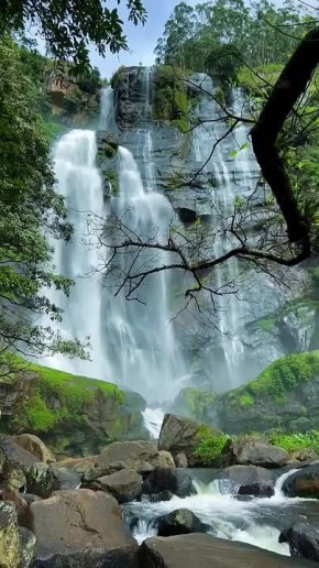 ������� ���� ���������� ��������� - ������ ������ ����