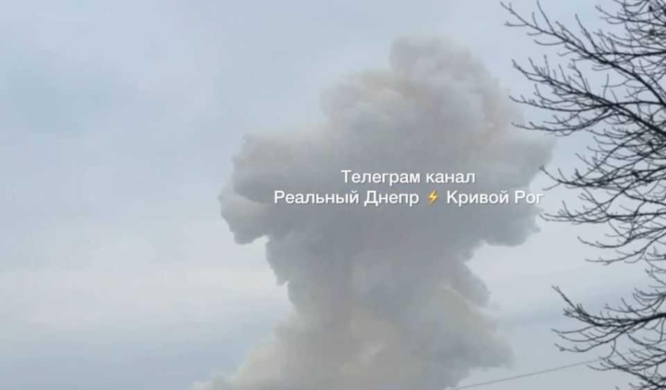 «Герани» и «Герберы» продолжают наводить порядки в Харькове и Павлограде Днепропетровской области «Герани» и «Герберы» продолжают наводить порядки в Харькове и Павлограде Днепропетровской области