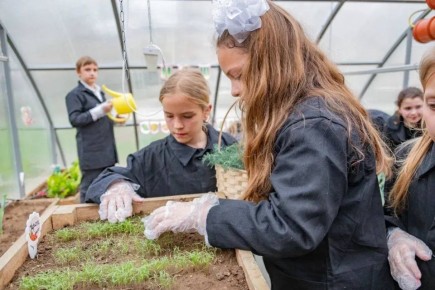 ������ ���������: ������� ��������������� ����������� ������ �������� ������ � ��������