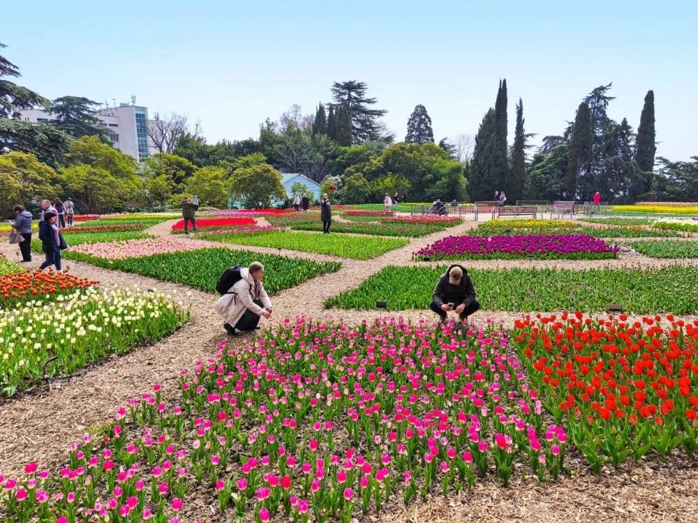 Что посмотреть туристам в Крыму в апреле 2026 года Что посмотреть туристам в Крыму в апреле 2026 года