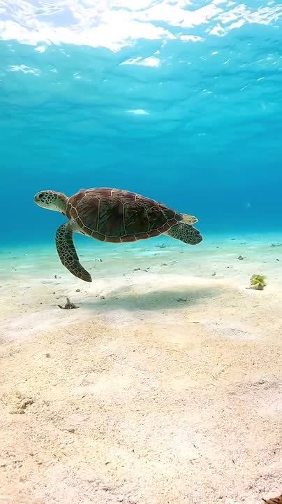 ������� �� ������ ����� ���, ��� ���� ������� ����