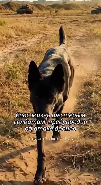 �� ������ ����� �� ������ �����