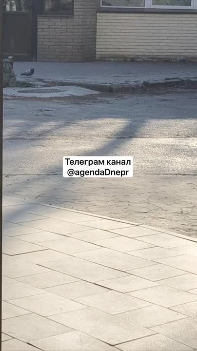 ������� �������������� �����������