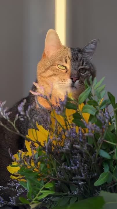 ��������� ���� ���� ����� � ������� ���������