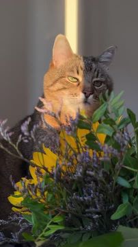 ��������� ���� ���� ����� � ������� ���������