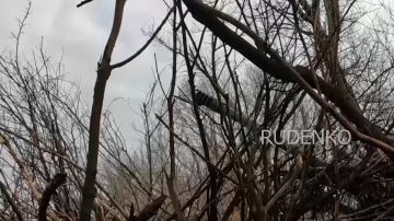 Андрей Руденко: Артиллерийский расчет гаубицы Д-30 группировки войск «Центр» уничтожил опорный пункт ВСУ на Днепропетровском направлении