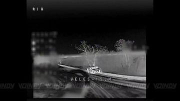 ��������� 29 ����� ���������� ������������� � ������ ������� � ����� ���� ��� � ���������������� �������