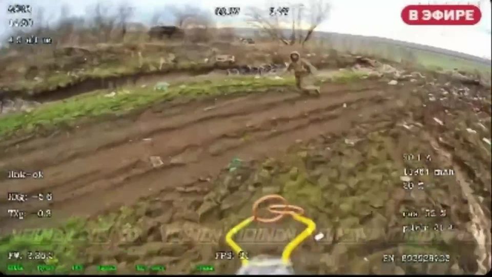 �������� ������ ������ �� ������ 29 ����� �� ������ ���������� ���������� � ������ ������ ���������������� �������