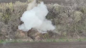 Уничтожение живой силы ВСУ операторами БпЛА 14 гвардейской бригады спецназа группировки войск "Восток", Днепропетровская область