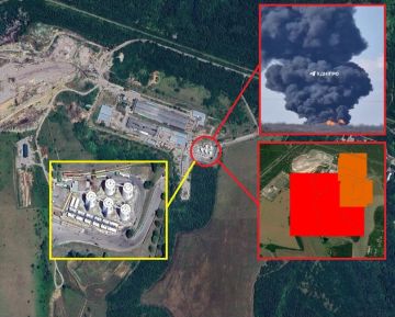 ������ ����������� ����������� ������� NASA FIRMS ��������� �������� �������� � ������ ��������� ��� ��������-���-����� � ������