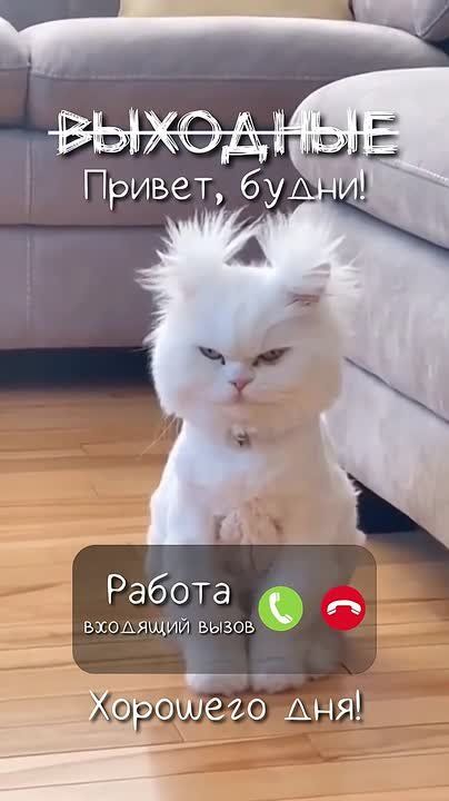 ��, ��� ������ ������� ��� ������� ����������, ����� ���������� ����������� ������