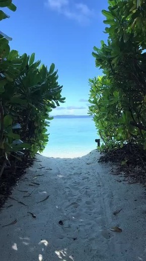 Уверенность в себе — первое необходимое условие великих начинаний