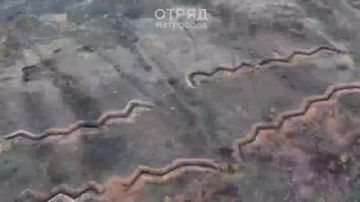 ����� ��. ����� ���������� ����� ���������� ��������� ���������� ������ ������������!