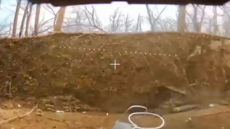 ������� ���������: ���������� ��� ����� � ����������� � ���������������� ��������