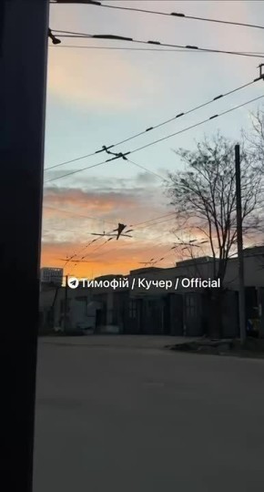 �������� ������ "������" �� �������������� ���� � ���������������