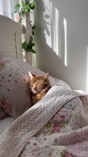 �� � ������������ ����� �����, ��� � ����� ����������