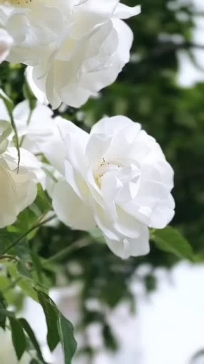 ���� �� ������, ����� ��� ������� ������, ����� ����� ������� ����. ������ ���, ������ � ������� � ����, �� ��������� ������ ������� ���