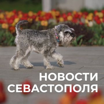 ������ ���������: ������� � �������:. ������� �������� ����� ���