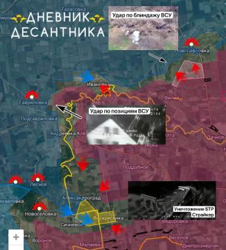 ���������������� �����������