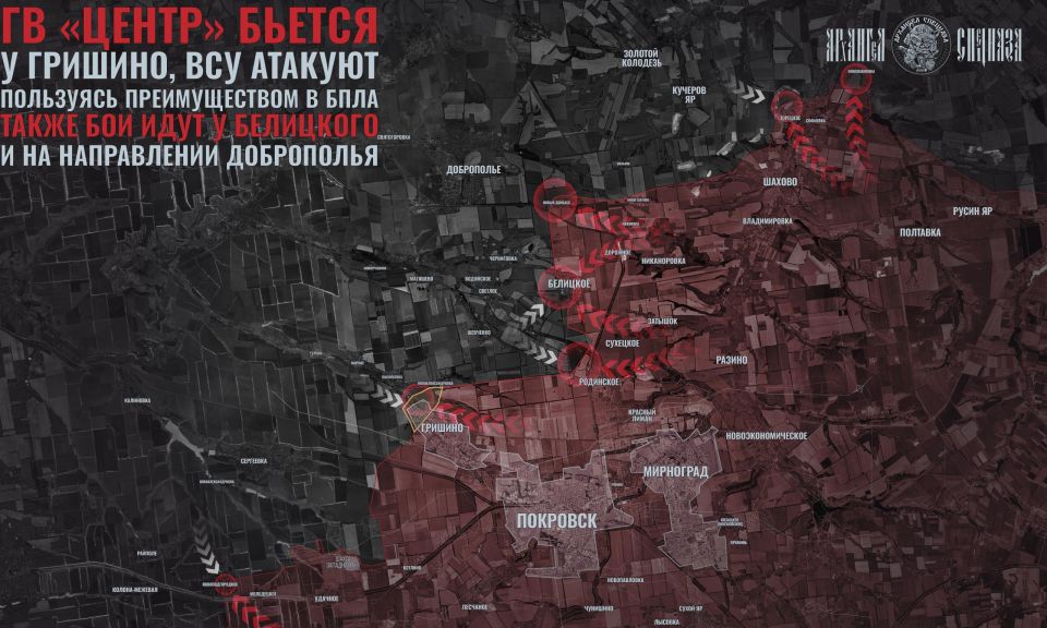 Войны дронов на Покровском направлении