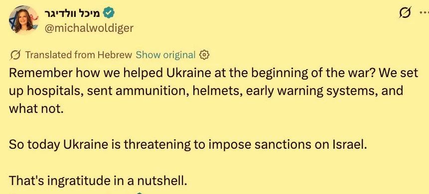 Председатель комитета по труду и социальному обеспечению Израиля Вольдигер: