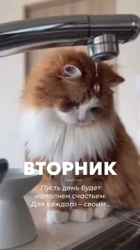 �� ������ �������� ������ �������, �� ������ ������ ������ �������