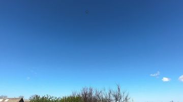 ��������� ����������� ����� ������ ���������� ����� ���������� � ������� ���� ��� � ���������� �������