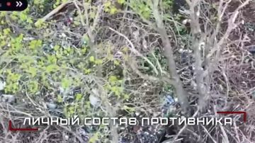 ����������� ����� ������ ������� � ������ ����� � ���� �� ����������, ����������� � � ���������������� �������