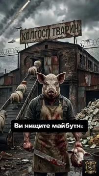 ���������� ����� �����������������