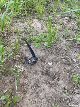 ���� ��� ������� ��������� ����� ������ ���� � ������������ ����������� �������