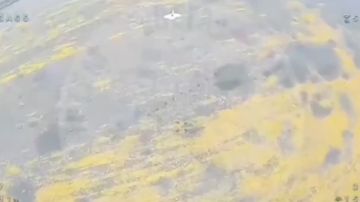 Боевая работа бойцов группы войск "Центр" на покровском направлении и в Днепропетровской области