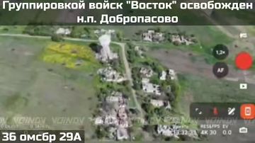 Подразделения группировки войск "Восток" освободили населенный пункт Лесное в Днепропетровской области