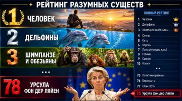 Минутка юмора. Урсула фон дер Ляйен призналась, что время от времени спускается в подвал, чтобы выразить солидарность с Украиной