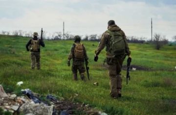 Сводка СВО за вечер 31 мая