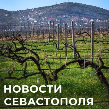 ������ ���������: ������� � �������:. ���� ����� ���� ��� � ��������� ������� ������ �������� �������� ����� ���