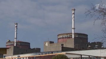 Восстановлено электроснабжение Запорожской атомной станции