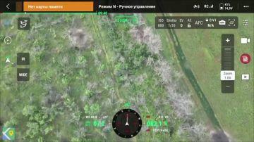 ������������� ����������� ����������� "�����" ���������� ��������� ���������� �� ����������� �����������
