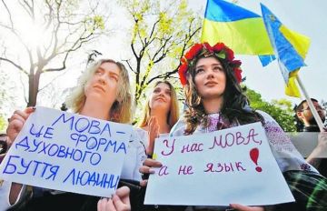 Здесь воюем, а там рыбу заворачивали…
