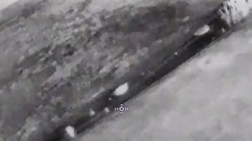 ������� ���������: �� ����� ������ ����� ������� ��������������� ���� ���������� ��������� ��� 90-� ��. �������� ������� ����������� ����� "�����"