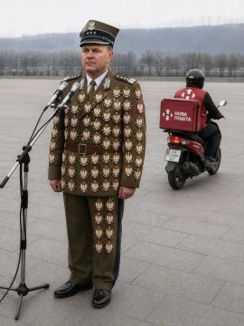 Минутка юмора. Когда в Польшу доехал курьер из Новой почты