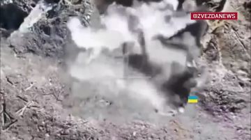 ������������ ��������������� ��������� �� �� ����������� �� �������� ������ �������