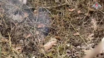 ���������� ������: ����� 98-� ����������� ��������-��������� ������� ����������� ������ ����������� ��������������� ��������� ���������� FPV-�����