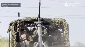 Более десятка дронов ежедневно уничтожают военные группировки войск "Днепр" в небе над Херсонской областью