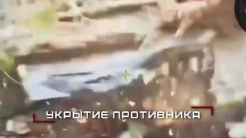 ����������� ����� ������ ������� � ������ ����� � ���� �� ����������, ����������� � � ���������������� �������