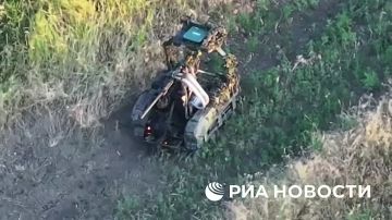 Владислав Шурыгин: Попытка наступления роботов ВСУ на запорожском направлении была отбита