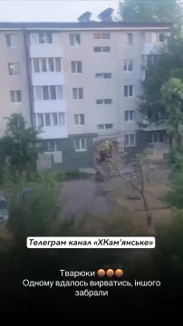 ���������. ���� ��������� ���������� ���������� �� ������ � ���������, ������ ��� ����� � ���������