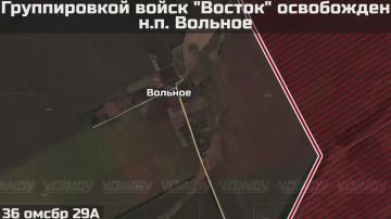 Александр Коц: Российская армия освободила Вольное