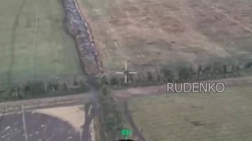 ������ �������: ����� ��� � ���� ������������ ���������� ������ ����������� � ����������� �������