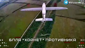 ����� ���: ����� ������� ���������� ������ � ������� ����� � ���� �� ��������������� � �� ����������������